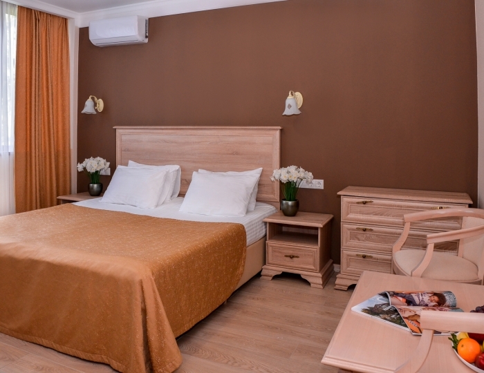 Стандартный комфорт 2-местный без балкона вид на парк корп.1 - Санаторий «Айвазовское» Алушта